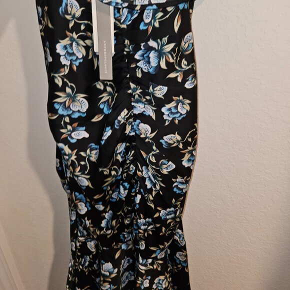 NWT ClothingDresses By Anthropologie Sweetheart Ruched Drop-Waist Dress - Picture 8 of 10